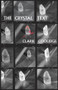 The Crystal Text by Clark Coolidge, Peter Gizzi, Jason Morris, Garrett Caples, 9780872869042