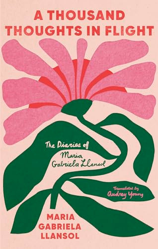 A Thousand Thoughts in Flight - 9781646053056 by Maria Gabriela Llansol, Audrey Young, João Barrento, 9781646053056