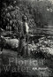 Florida Water (Poems) by aja monet, 9781642599671