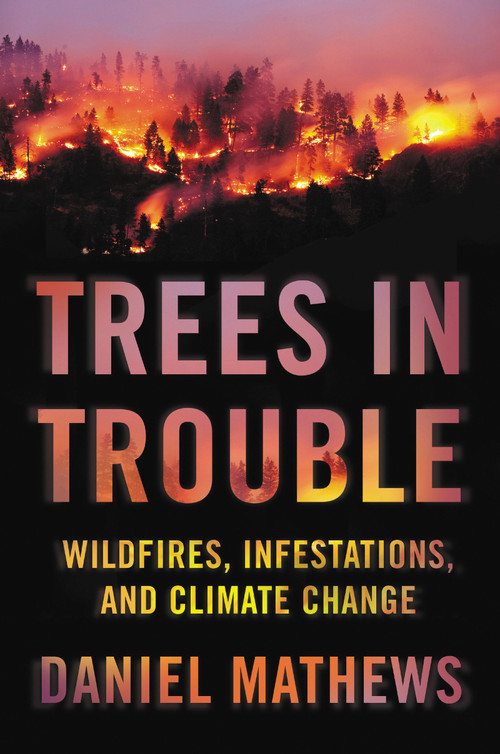 Trees in Trouble (Wildfires, Infestations, and Climate Change) by Daniel Mathews, 9781640091351