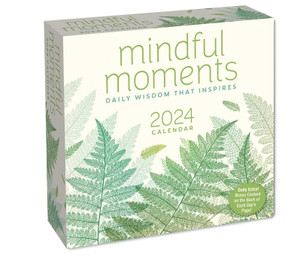 Mindful Moments 2024 Day-to-Day Calendar by Andrews McMeel Publishing, 9781524878979