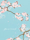 Spring Cherry Blossoms Journal by Editors of Chartwell Books, 9780785844310