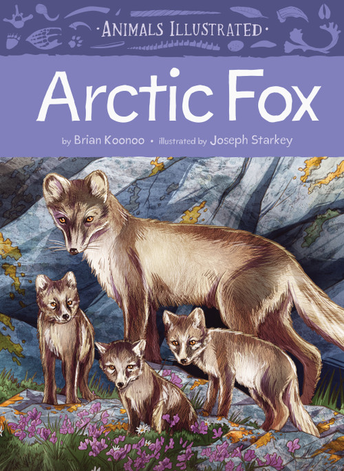 Animals Illustrated: Arctic Fox by Brian Koonoo, Joseph Starkey, 9781772274851