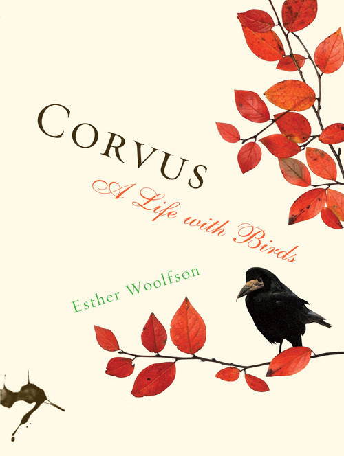 Corvus (A Life with Birds) by Esther Woolfson, 9781582435831