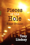 Pieces of the Hole (Short Stories) by Tony Lindsay, 9780883782699