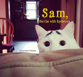 Sam, the Cat with Eyebrows by Amanda Collado, 9784865050769