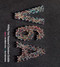 V6A (Writing from Vancouvers Downtown Eastside) by John Mikhail Asfour, Elee Kraljii Gardiner, 9781551524627