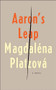 Aaron's Leap by Magdaléna Platzová, Craig Cravens, 9781934137703