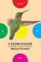 A Solemn Pleasure (To Imagine, Witness, and Write) by Melissa Pritchard, Bret Anthony Johnston, 9781934137963