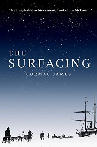 The Surfacing by Cormac James, 9781934137925