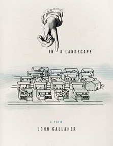 In a Landscape by John  Gallaher, 9781938160509