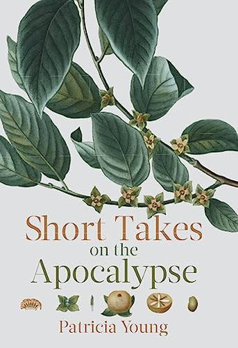 Short Takes on the Apocalypse by Patricia Young, 9781771961356