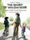 The Secret of Willow Ridge (Gabe's Dad Finds Recovery) by Helen H. Moore, Claudia Black, John C. Blackford, 9780981848204