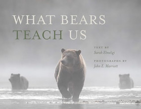 What Bears Teach Us by Sarah Elmeligi, John E. Marriott, 9781771606943