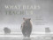 What Bears Teach Us by Sarah Elmeligi, John E. Marriott, 9781771606943