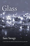 Glass - 9781566892735 by Sam Savage, 9781566892735