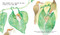 Find Out About Animal Tools by Martin Jenkins, Jane McGuinness, 9781536234046