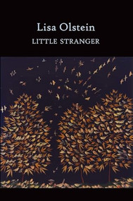 Little Stranger by Lisa Olstein, 9781556594328