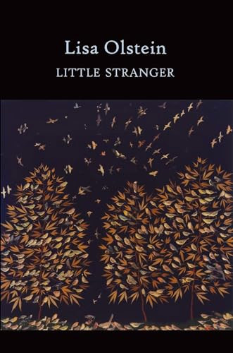 Little Stranger by Lisa Olstein, 9781556594328