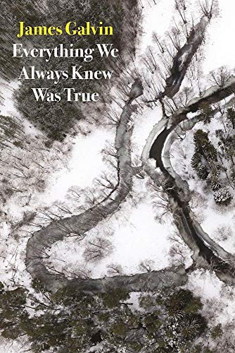 Everything We Always Knew Was True by James Galvin, 9781556594922