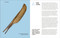 A Brief History of Stuff (The Extraordinary Stories of Ordinary Objects) by DK, 9780744081602