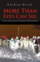 More Than Eyes Can See (A nine month journey through the AIDS pandemic.) by Rhidian Brook, 9780714531427