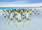 PENGUIN LAND (Japanese Edition) by Yukihiro Fukuda, 9784883501830