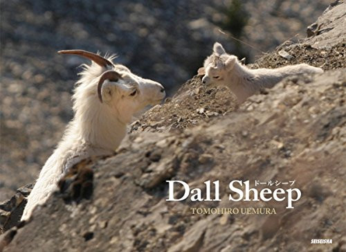 Dall Sheep by Tomohiro Uemura, 9784883501809
