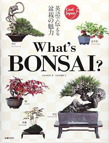 What's BONSAI? by Takashi Matsui, 9784074189175
