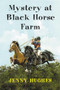 Mystery at Black Horse Farm by Jenny Hughes, 9781621240037
