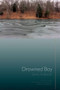 Drowned Boy (Stories) by Jerry Gabriel, Andrea Barrett, 9781932511789