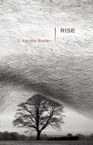 Rise (Stories) by L.  Annette Binder, 9781936747313