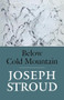 Below Cold Mountain by Joseph Stroud, 9781556590849