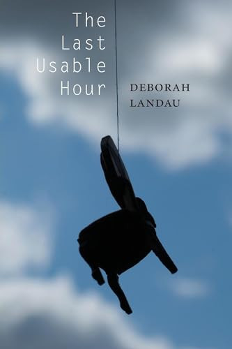 The Last Usable Hour by Deborah Landau, 9781556593345