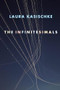 The Infinitesimals by Laura Kasischke, 9781556594663