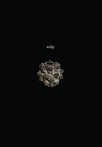 Solip by Ken Baumann, 9780985023546