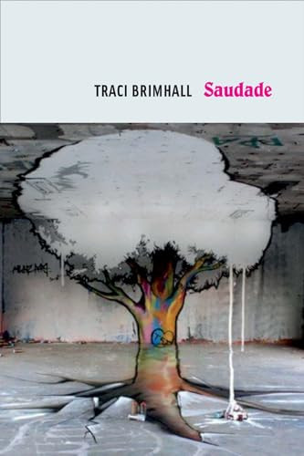 Saudade - 9781556595172 by Traci Brimhall, 9781556595172