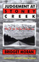 Judgement at Stoney Creek by Bridget Moran, 9781551520537