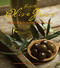 From the Olive Grove (Mediterranean Cooking with Olive Oil) by Helen Koutalianos, Anastasia Koutalianos, 9781551523675
