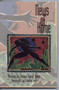 News of Home by Debra Kang Dean, Colette Inez, 9781880238660