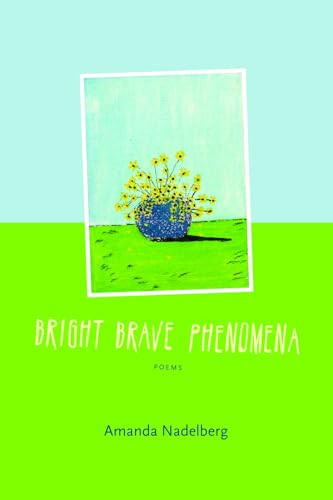 Bright Brave Phenomena by Amanda  Nadelberg, 9781566893039