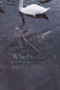 When to Go into the Water (A Novel) by Lawrence Sutin, 9781932511727