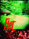 Flet by Joyelle McSweeney, 9781934200070