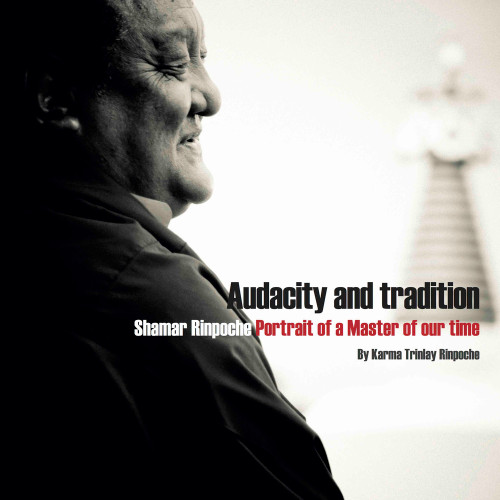Audacity and Tradition (Portrait of a Master of our Time) by Karma Trinlay Rinpoche, 9782360170081