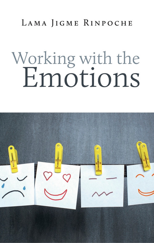 Working With the Emotions by Jigme Rinpoche, Jigme Rinpoche, 9782360170111