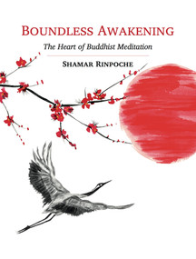 Boundless Awakening (The Heart of Buddhist Meditation) by Shamar Rinpoche, 9782360170173