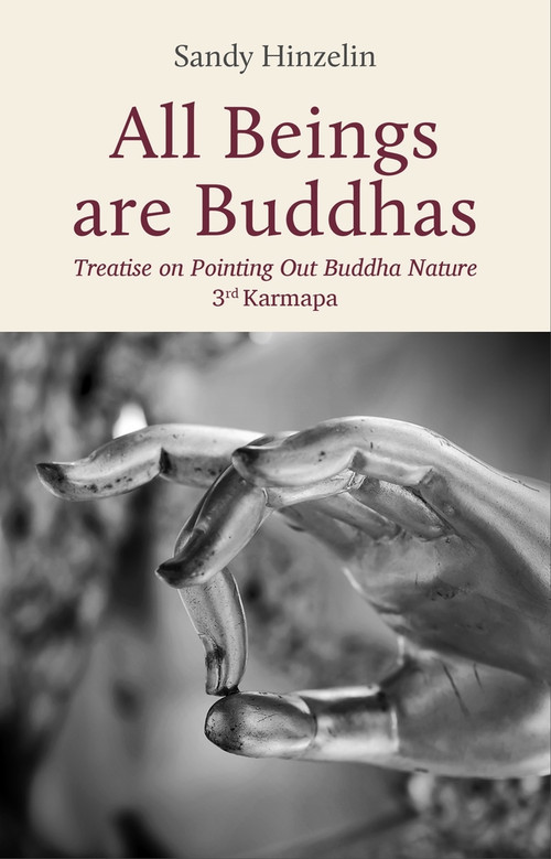All Beings are Buddhas by Sandy Hinzelin, 9782360170470