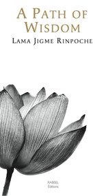 A Path of Wisdom by Jigme Rinpoche, Jigme Rinpoche, 9782953721652