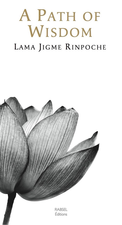 A Path of Wisdom by Jigme Rinpoche, Jigme Rinpoche, 9782953721652