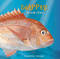 Snapper (The Real Story) by Annemarie Florian, Alistair Hughes, 9781760793340